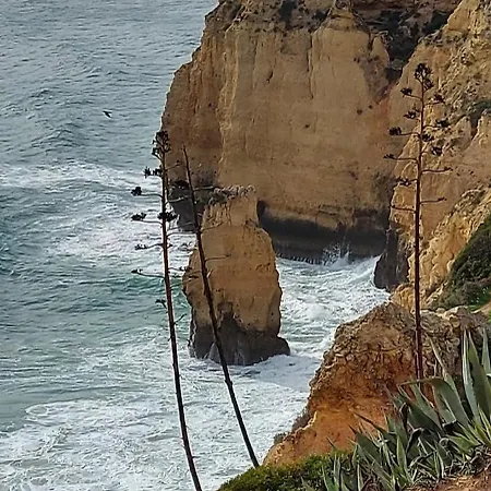 Casa Rose Casa de Férias *